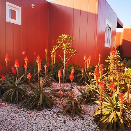 Feriepark Family Surf - *