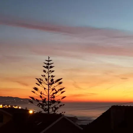 Family Surf -