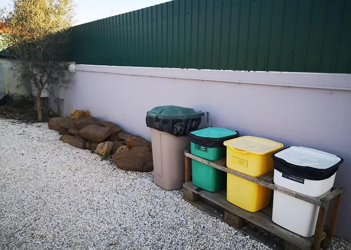 Family Surf - * Mafra